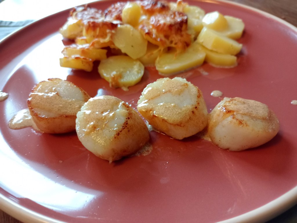photo de noix de st jacques avec un gratin de patates